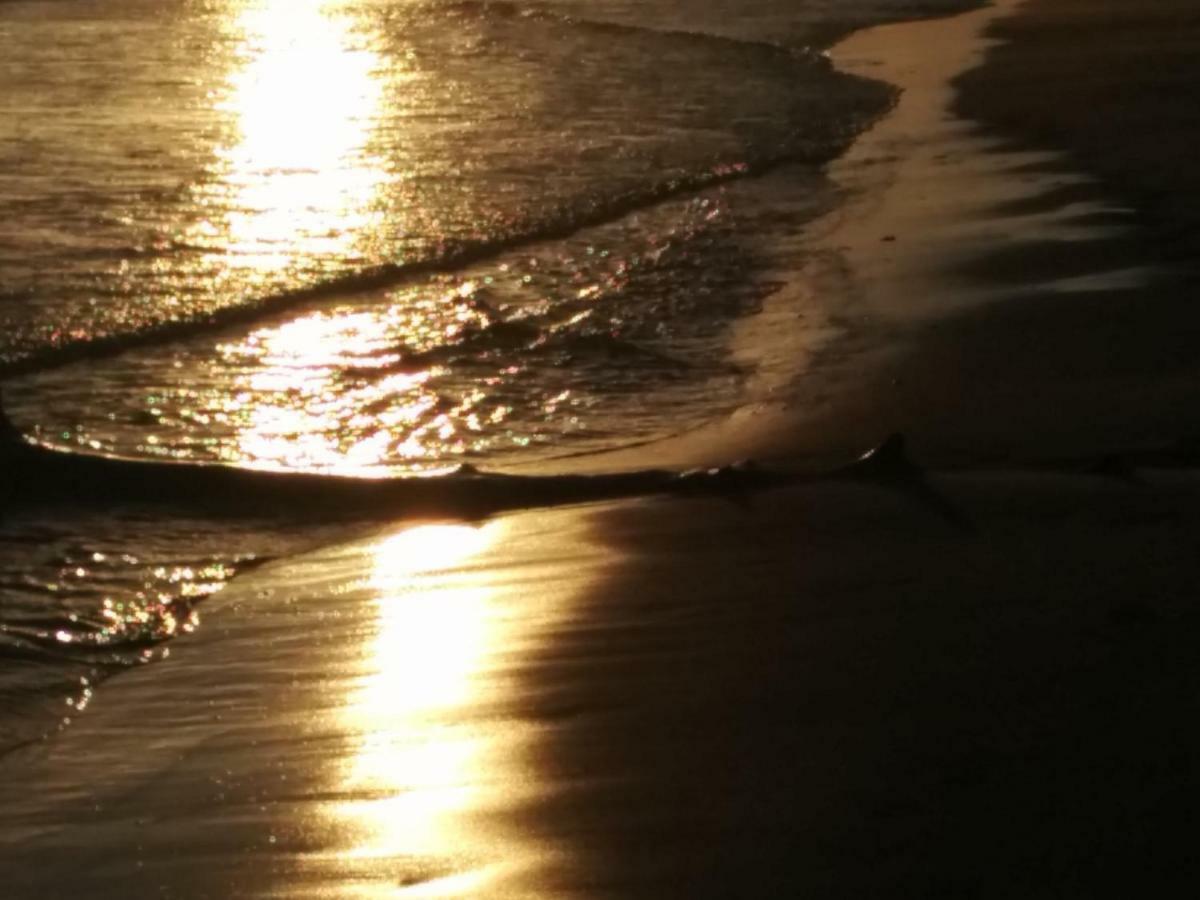 6 Seatown, Lossiemouth Buitenkant foto